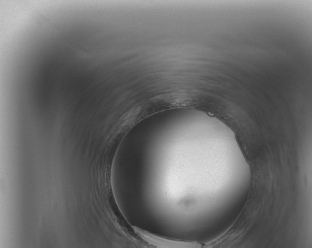 X0000059820044200510281743