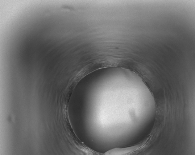 X0000059820045200510281743