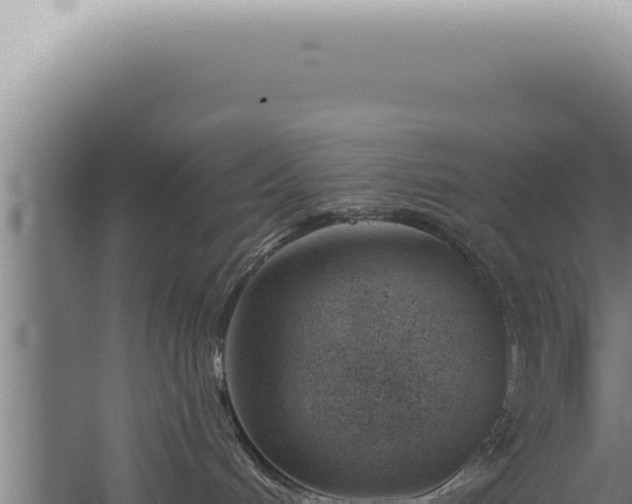 X0000059820048200510281743