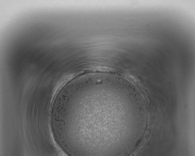 X0000059820049200510281742