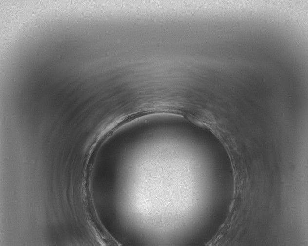 X0000059820050200510281742