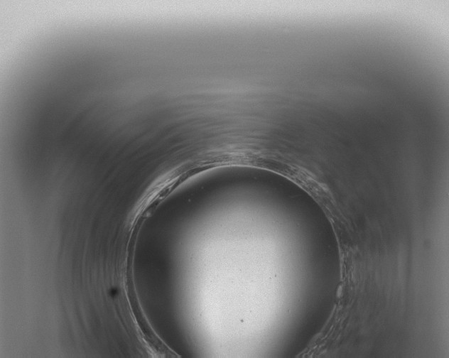 X0000059820051200510281742