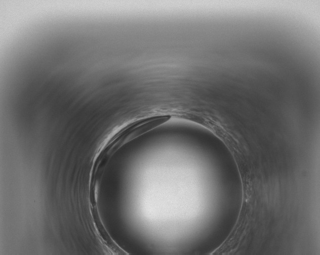 X0000059820052200510281742