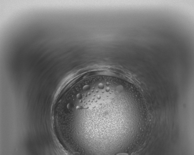 X0000059820053200510281742