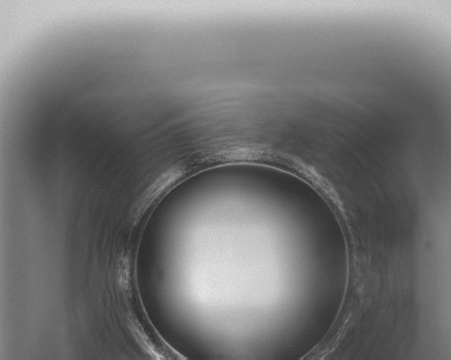 X0000059820057200510281742