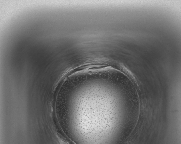 X0000059820059200510281742