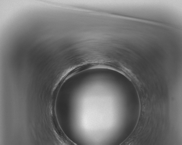 X0000059820060200510281742