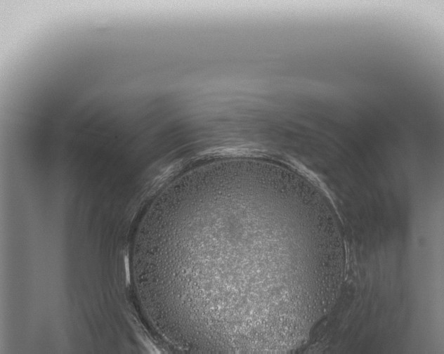 X0000059820061200510281742