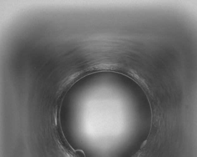 X0000059820062200510281742