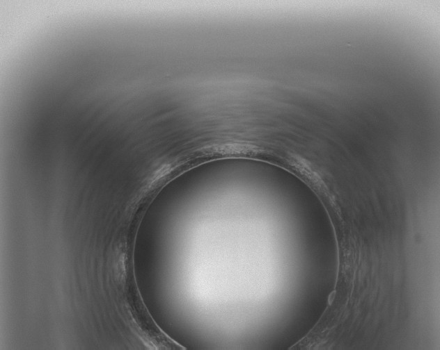 X0000059820063200510281742