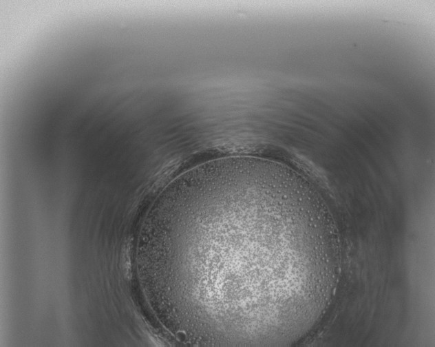 X0000059820065200510281742