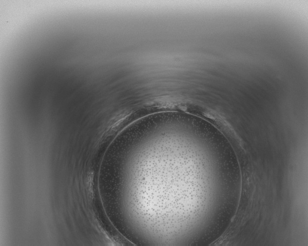 X0000059820066200510281742