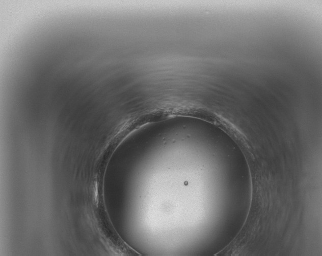 X0000059820067200510281742