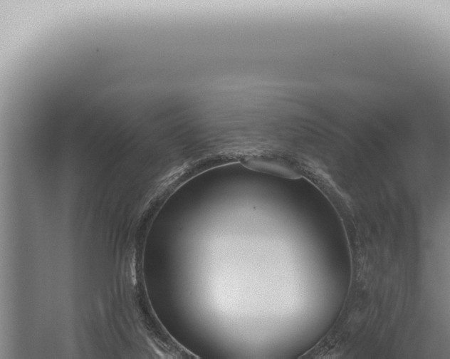 X0000059820068200510281742