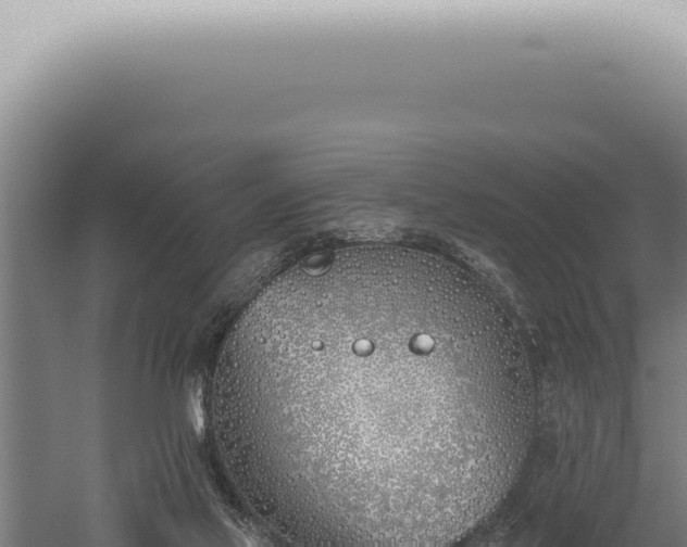 X0000059820069200510281742