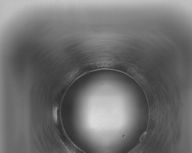 X0000059820070200510281742