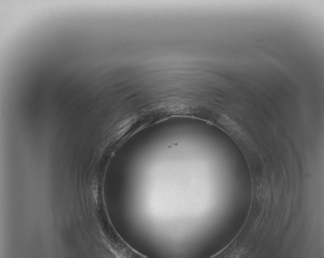 X0000059820072200510281742