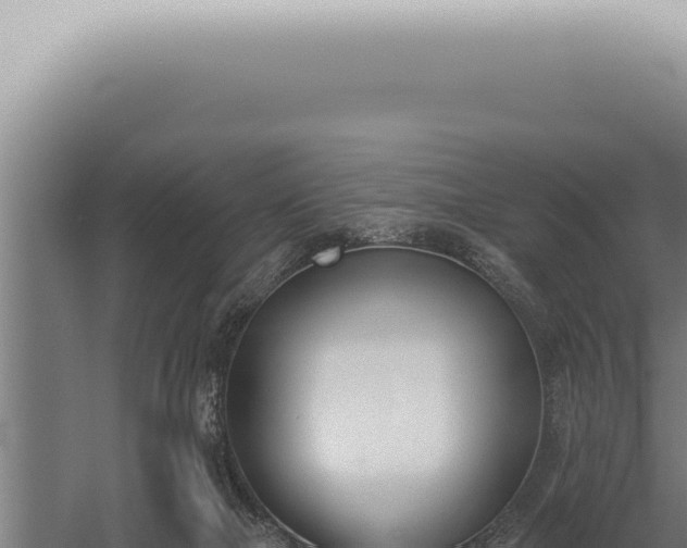 X0000059820073200510281742