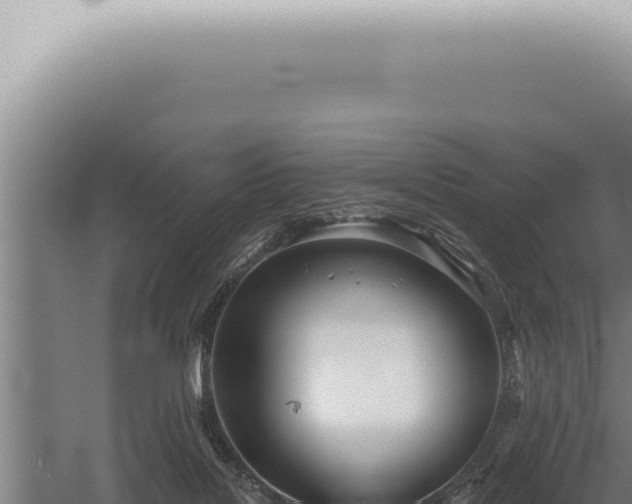 X0000059820076200510281742