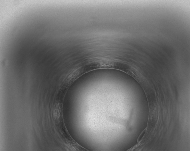 X0000059820078200510281742