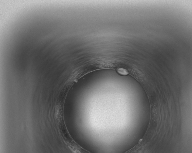 X0000059820079200510281742