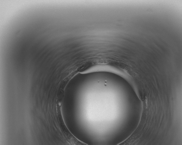 X0000059820080200510281743