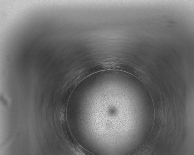 X0000059820081200510281743