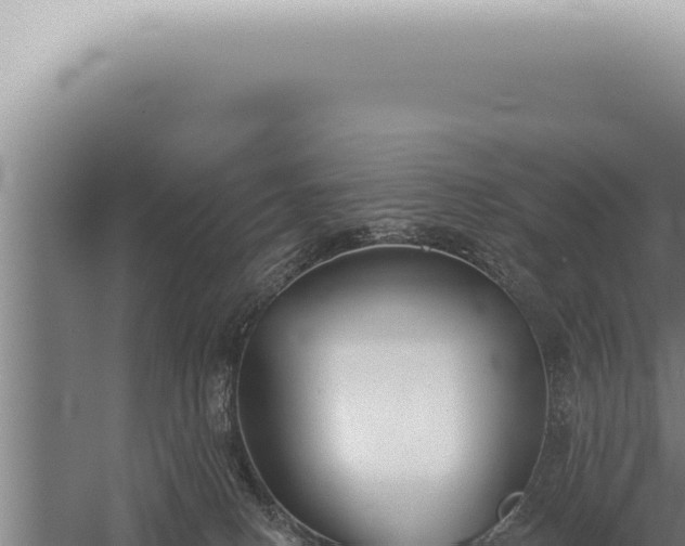 X0000059820082200510281743