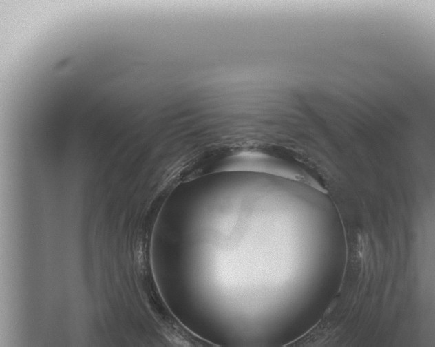 X0000059820084200510281743