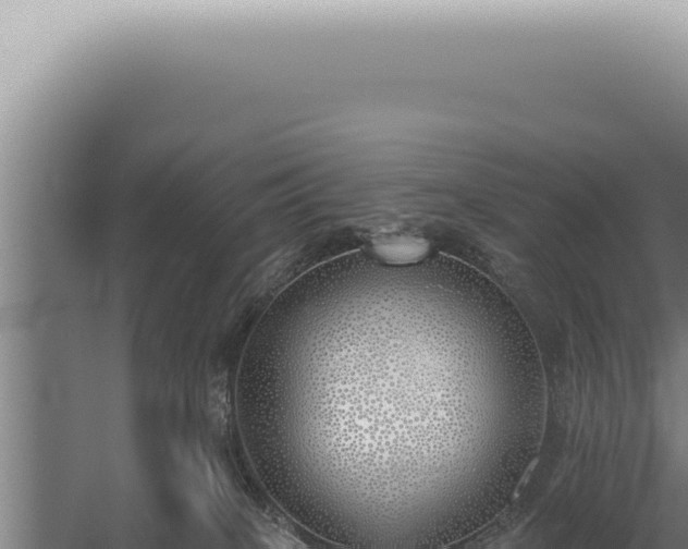 X0000059820085200510281743