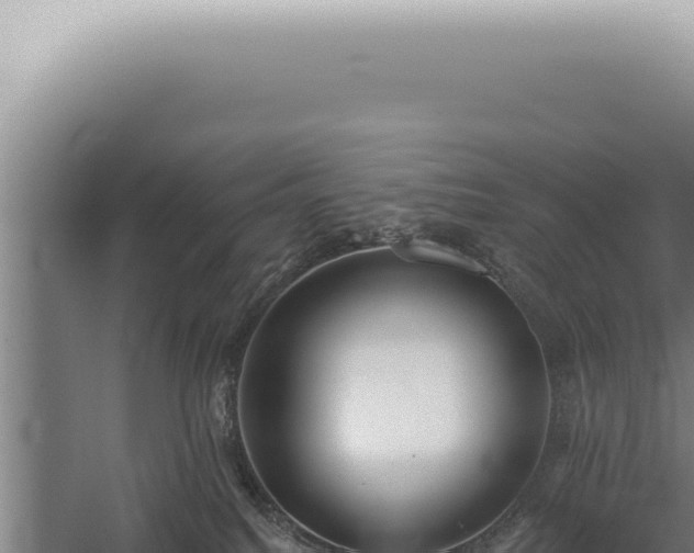 X0000059820088200510281743