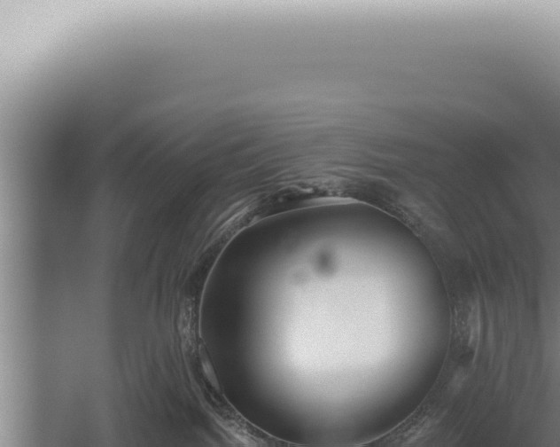 X0000059820092200510281743