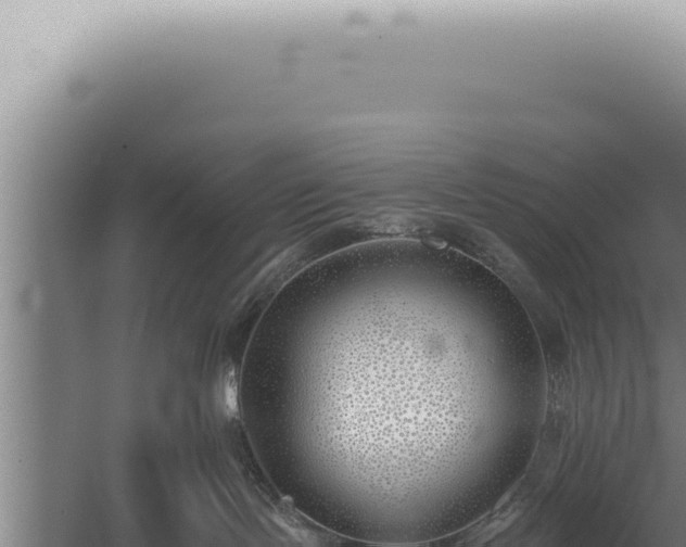 X0000059820095200510281743