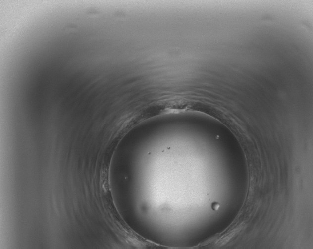 X0000059820096200510281743