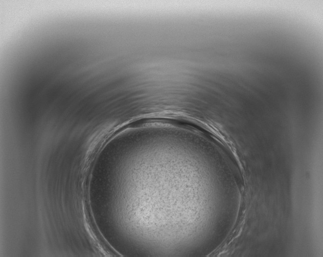 X0000059820097200510281742