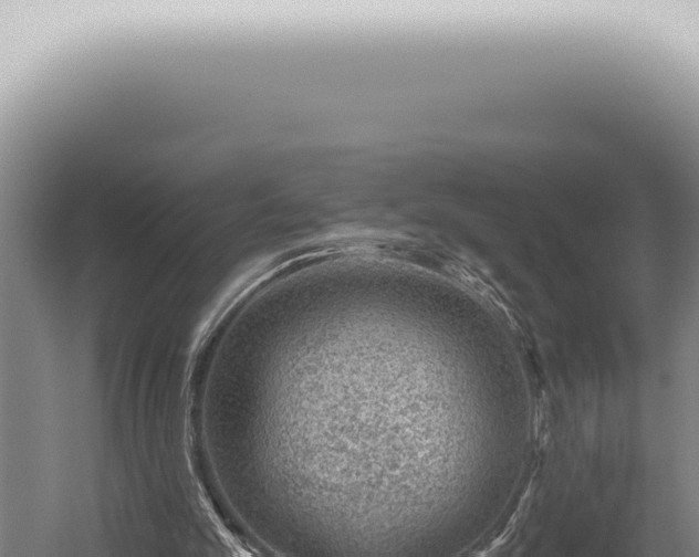 X0000059820101200510281742