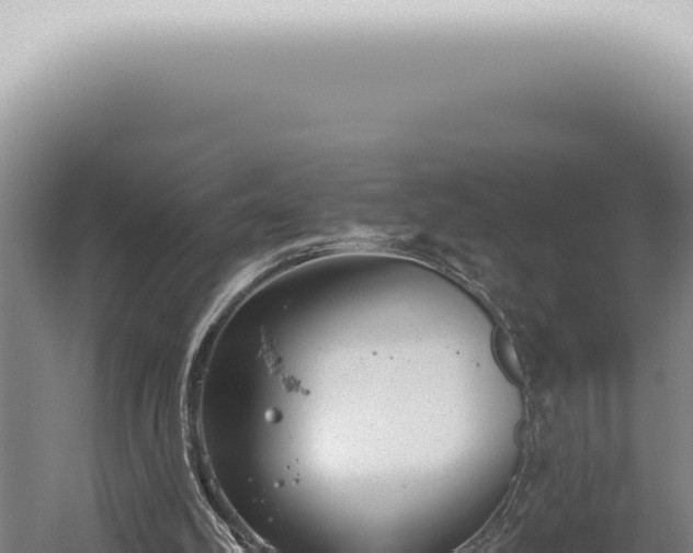 X0000059820102200510281742