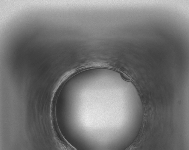 X0000059820104200510281742