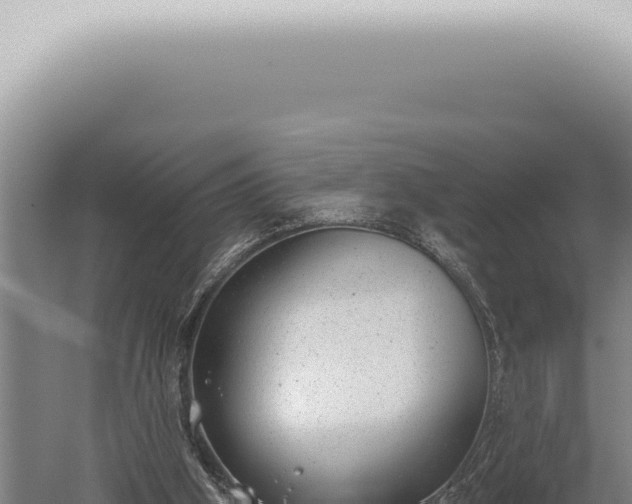 X0000059820106200510281742