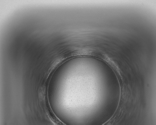 X0000059820107200510281742