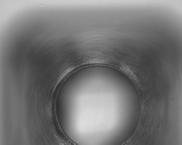 X0000059820108200510281742