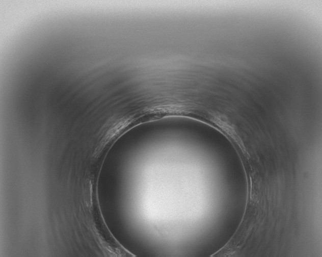 X0000059820109200510281742