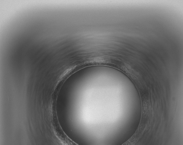 X0000059820112200510281742