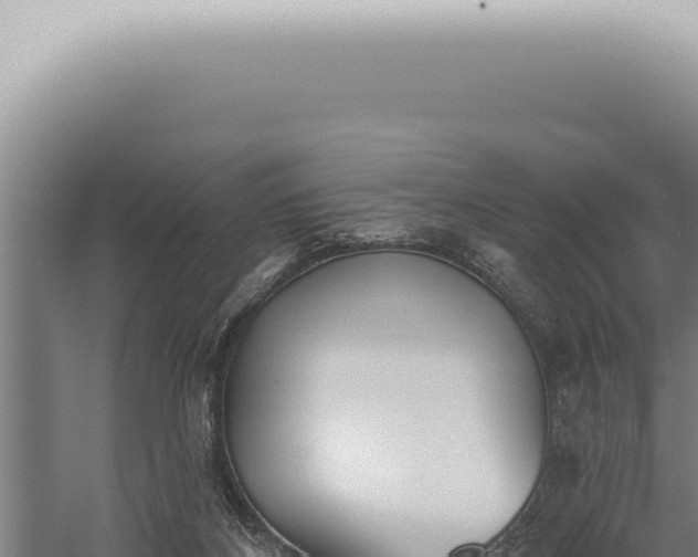 X0000059820116200510281742