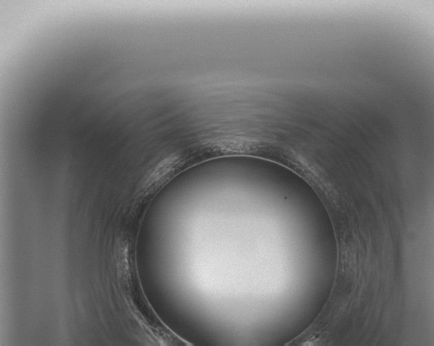 X0000059820117200510281742