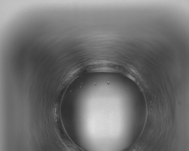 X0000059820119200510281742