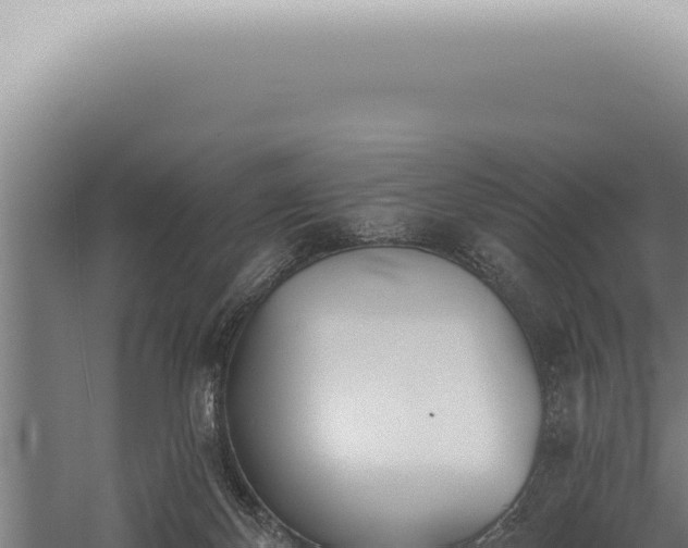 X0000059820124200510281742