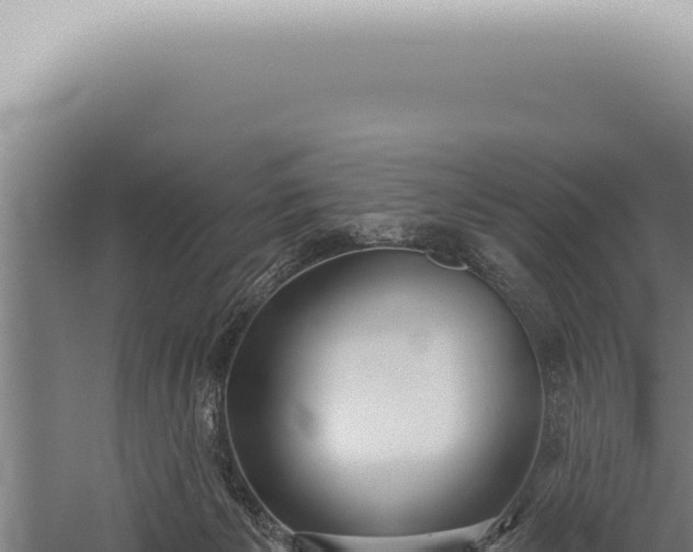 X0000059820125200510281741