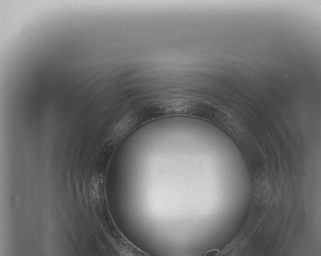 X0000059820126200510281741