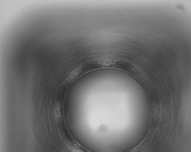 X0000059820128200510281741